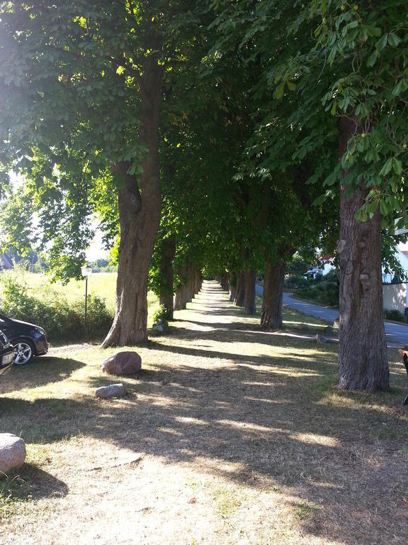 Apartamento Schaeferkate Sierksdorf Exterior foto